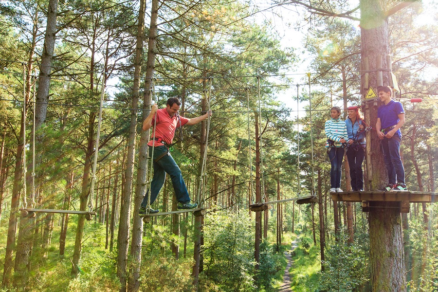 Go Ape | Visit Nottinghamshire